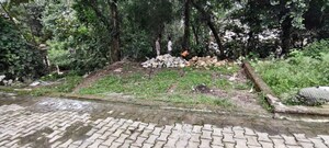 Plot Area in  Plot at Sinaula – for Sale