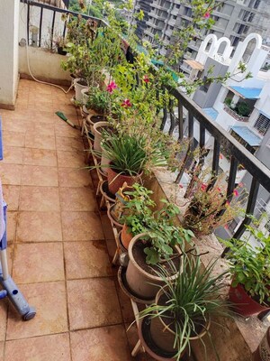 Balcony in 2 BHK Apartment at Gulmohar Orchids, Kharadi – for Rent