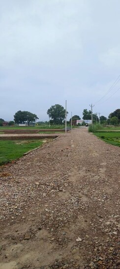 Plot For Sale in Babatpur