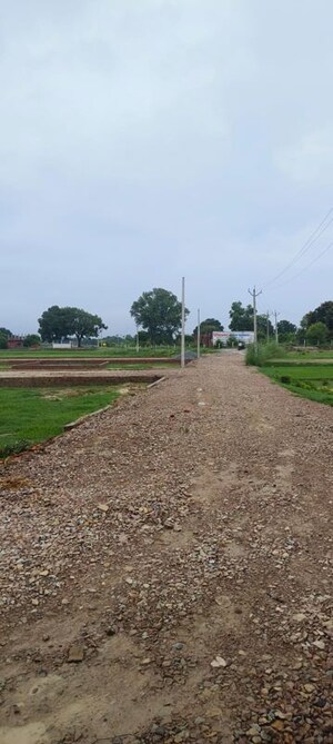  Plot For Sale in Babatpur