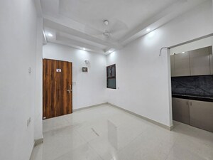 1 BHK Apartment For Rent in Freedom Fighters Enclave