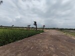 120 Sq.Yd. Plot in Ahilya Ganj Bangar