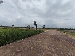 Plot For Sale in Ahilya Ganj Bangar