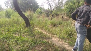 Plot Area in  Plot at Kaithi – for Sale