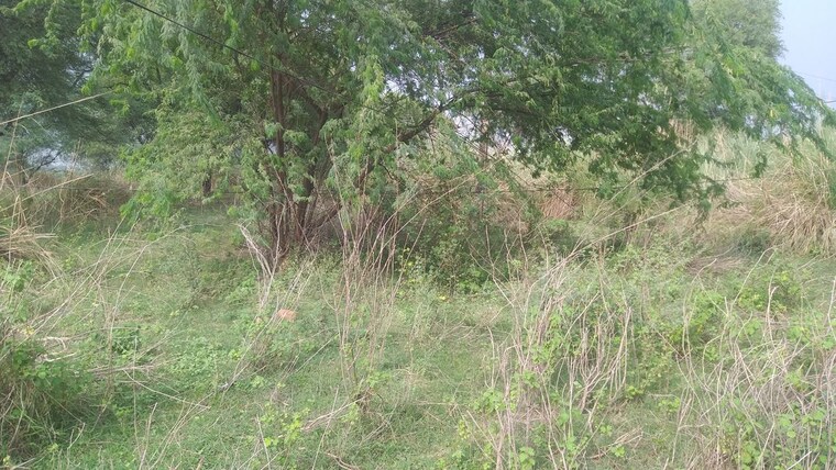 undefined, kaithi  1000 Sq.Ft. Plot In Kaithi Varanasi 10578045
