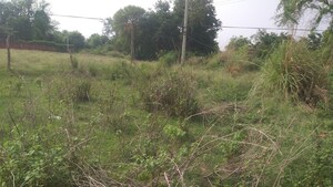 Plot Area in  Plot at Kaithi – for Sale