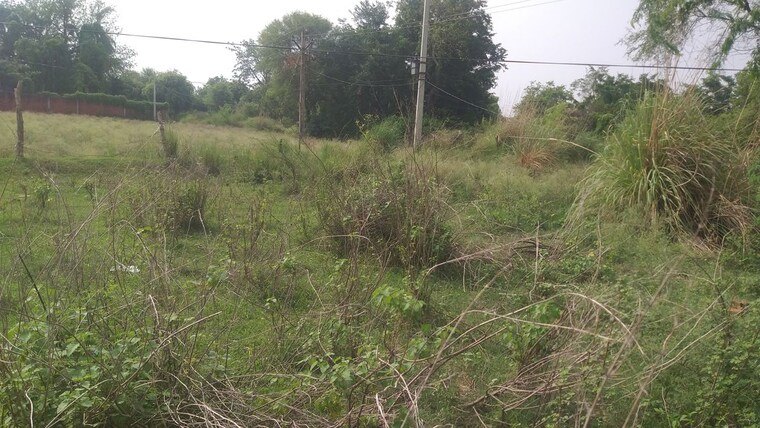 undefined, kaithi  1000 Sq.Ft. Plot In Kaithi Varanasi 10578045