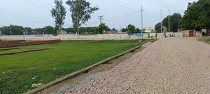  Plot For Sale in Babatpur