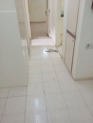 Bathroom in 1 BHK Apartment at Prathamesh Apartment Andheri , Andheri East – for Rent