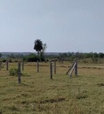 100 Sq.Yd. Plot in Sohna Sector 5