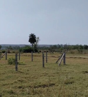  Plot For Sale in Sohna Sector 5