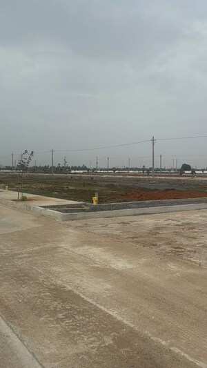 Plot Area in  Plot at Pathapadu – for Sale