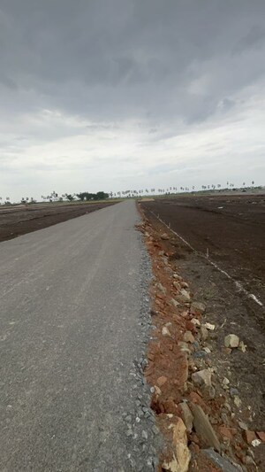 Plot Area in  Land at Kankipadu – for Sale
