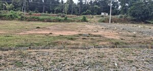 Plot Area in  Plot at Nelamangala – for Sale