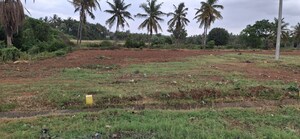 Plot Area in  Plot at Nelamangala – for Sale