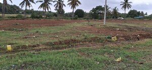 Plot Area in  Plot at Nelamangala – for Sale
