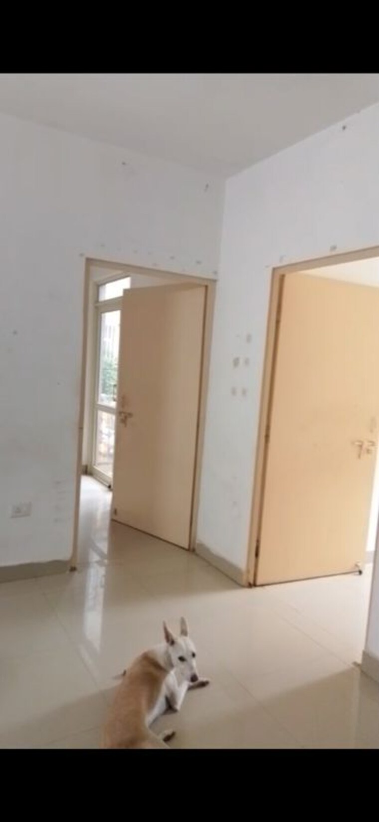Room, conscient-habitat-78 2 Bedroom 550 Sq.Ft. Apartment In Sector 78 Faridabad 10578421