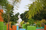 175 Sq.Ft. Plot in Bhogapuram