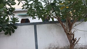   Plot at Bhel Sangam Colony – for Sale