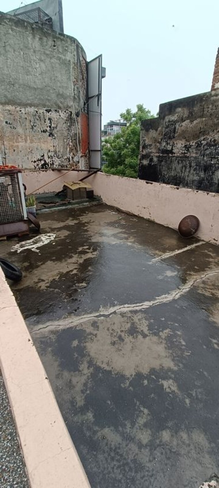  Parking, rohini sector 8 2 Bedroom 350 Sq.Ft. Independent House In Rohini Sector 8 Delhi 10578768