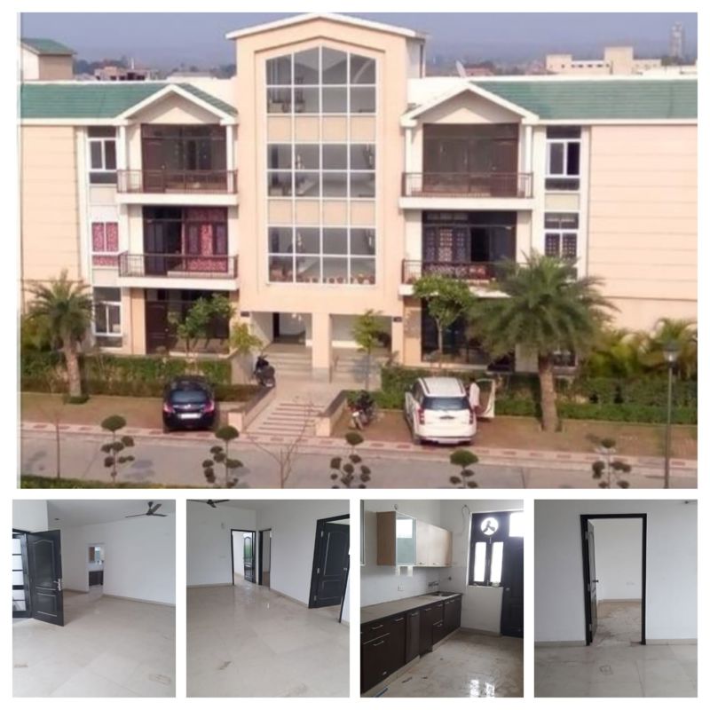 3 BHK 1641 Sq.Ft. Builder Floor in Omaxe Silver Birch