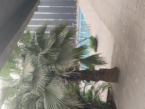 Staircase in 2 BHK Apartment at Hiraco Eminence, Mira Road – for Rent