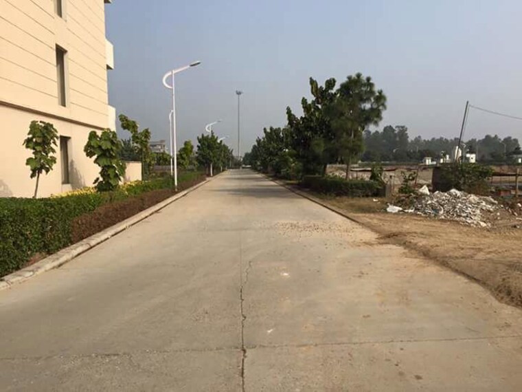 undefined, omaxe-new-chandigarh  2701 Sq.Ft. Plot In North Mullanpur Chandigarh 10578965