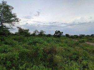  Land For Sale in Moharda