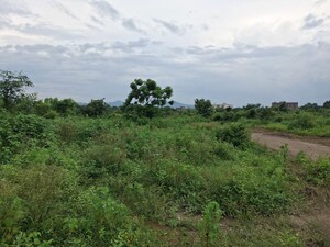 Plot Area in  Land at Moharda – for Sale