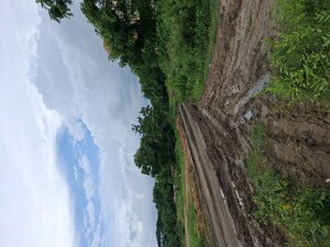  Land – Garden View at Moharda - for Sale