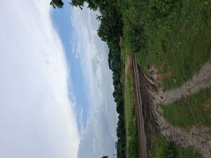   Land at Moharda – for Sale