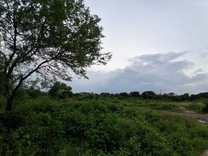 Plot Area in  Land at Moharda – for Sale