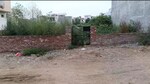 1350 Sq.Ft. Plot in Omaxe City