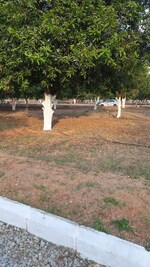 150 Sq.Yd. Plot in Yadagirigutta
