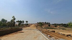  Plot For Sale in Mazidpur