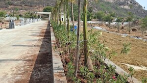 Plot Area in  Plot at Mazidpur – for Sale