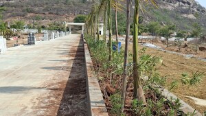 Plot Area in  Plot at Mazidpur – for Sale