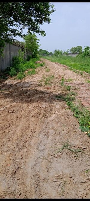  Industrial Plot For Sale in Trans Delhi Signature City, Tronica City