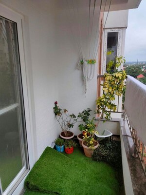 2 BHK Apartment For Rent in United Dreams, Whitefield