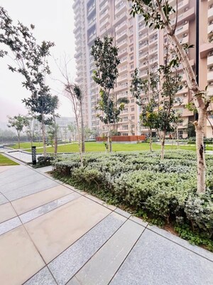 4 BHK Apartment – Exterior View View at ABA Ivy County, Sector 75 - for Rent