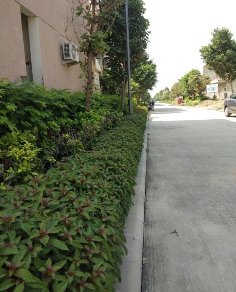 Garden, chandigarh airport 3 Bedroom 1725 Sq.Ft. Builder Floor In Chandigarh Airport Chandigarh 10580438