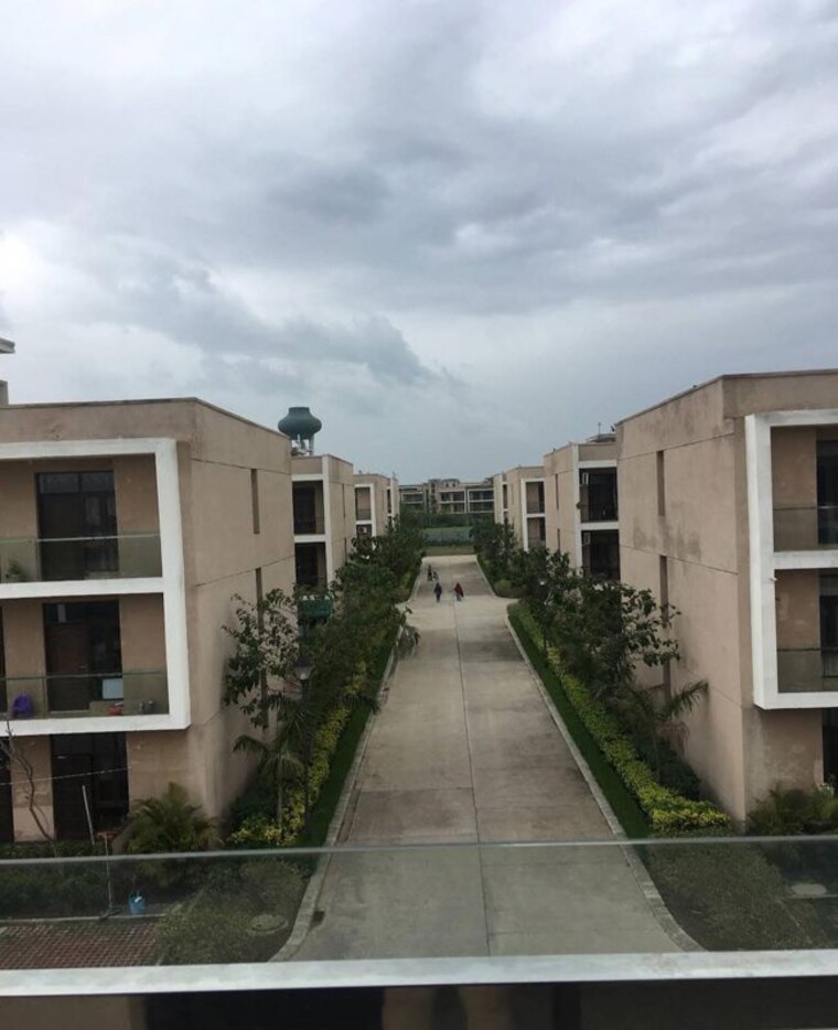Exterior View, chandigarh airport 3 Bedroom 1725 Sq.Ft. Builder Floor In Chandigarh Airport Chandigarh 10580438