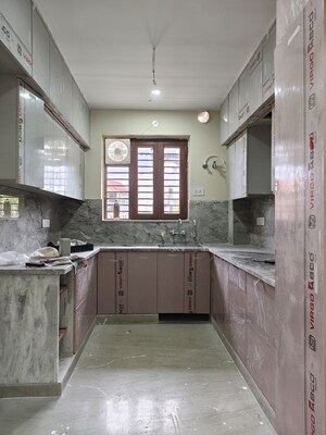 Kitchen in 3 BHK Builder Floor at Sharma Homes 1, Sector 37 – for Rent