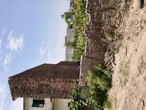  Plot For Sale in Milap Nagar
