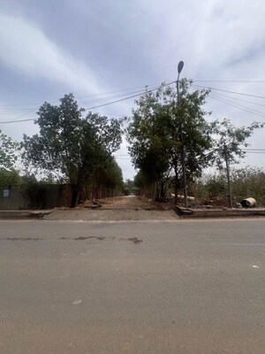  Plot – Exterior View View at Dlf Farms - for Sale