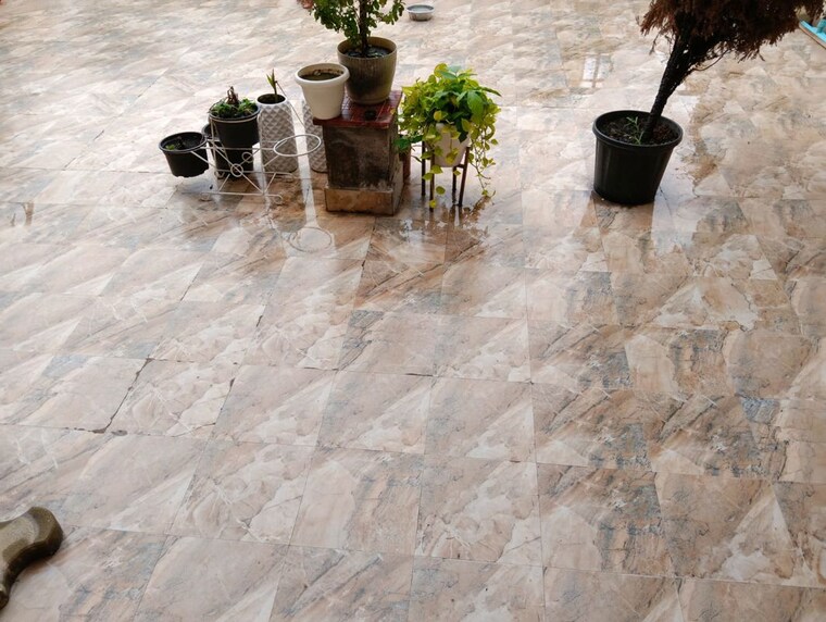  Parking, sector 15 2 Bedroom 1800 Sq.Ft. Builder Floor In Sector 15 Gurgaon 10580696