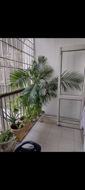 Balcony in 3 BHK Apartment at Gardenia Gitanjali, Vasundhara Sector 16 – for Rent