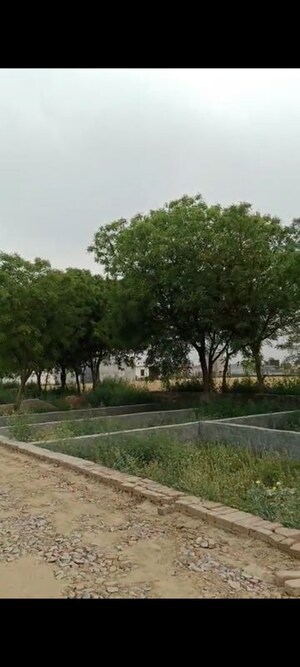 Plot Area in  Plot at Satya Akshardham Enclave, Sector 88 – for Sale
