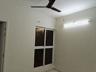 2 BHK Apartment For Rent in Kolte Patil Ivy Estate Nia in Wagholi, Pune