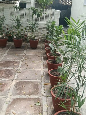 3 BHK Independent House – Exterior View View at Sector 4 - for Rent